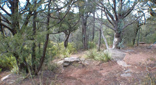 Photo of Lot 14 N Vista Way #14, Payson, AZ 85541