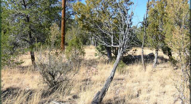 Photo of 3326 Bear Heights Rd #5, Heber, AZ 85928