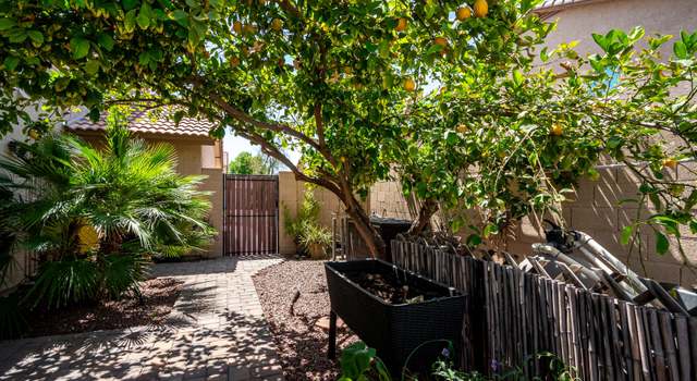 Photo of 288 E Baylor Ln, Gilbert, AZ 85296