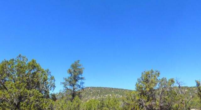 Photo of Lot 38 N Trout Creek Trial -- #38, Seligman, AZ 86337