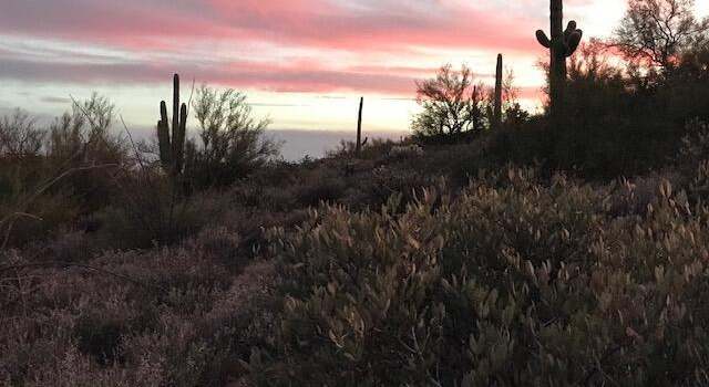 Photo of 4xxxx N Cottonwood Canyon Rd Unit '_', Cave Creek, AZ 85331
