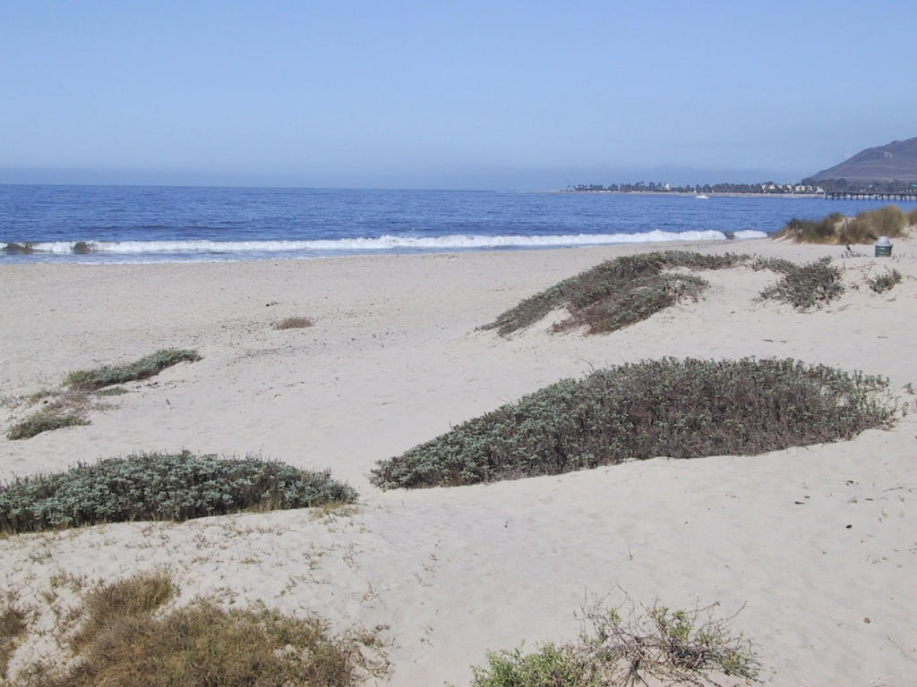 1140 Dover Ln, Ventura, CA 93001 | MLS# 14-898 | Redfin