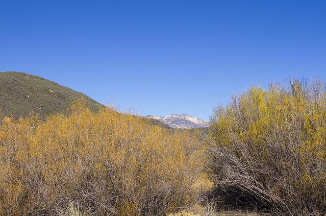 7205 Rose Valley Rd, Ojai, CA 93023