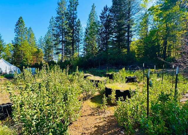 Property at 26346 19 N16th Rd, Potter Valley, CA 95469