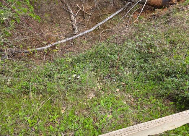 Property at 9860 Whiskey Slide Rd, Mountain Ranch, CA 95246