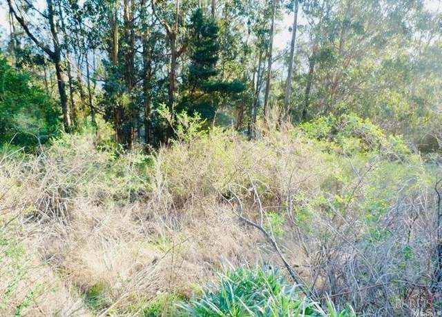 Property at 1245 Shoreline Hwy, Mill Valley, CA 94941