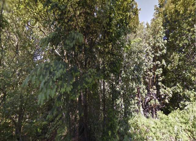Property at 258 Burns Ct, Whitethorn, CA 95589