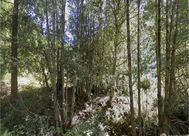 Property at 1504 Telegraph Creek Rd, Whitethorn, CA 95589