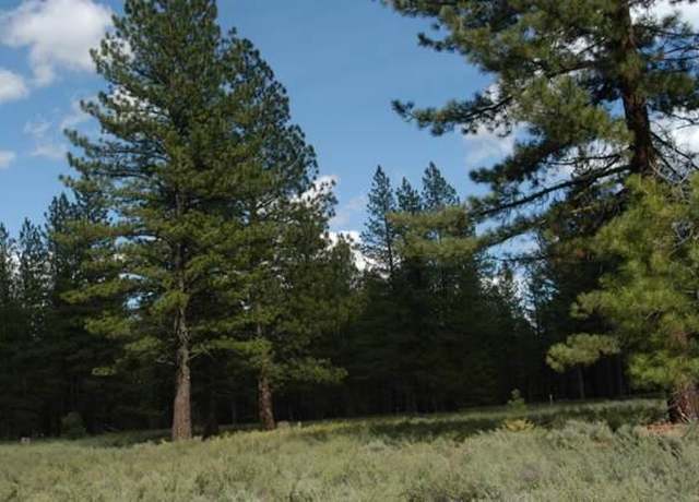 Property at 12593 Caleb Dr, Truckee, CA 96161