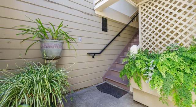 Photo of 229 Pixley St, San Francisco, CA 94123