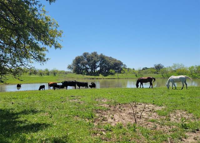 Property at 2600 County Road 294 N, Early, TX 76802, 3 beds, 2 baths