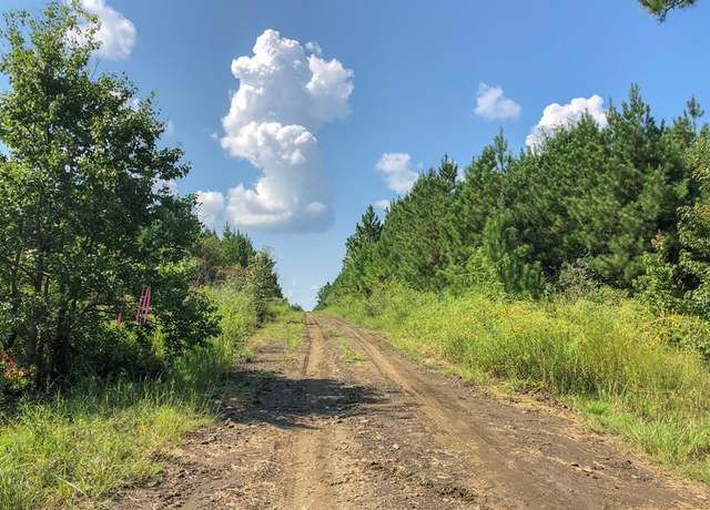 Property at 0 Off FM 1746, Woodville, TX 77624