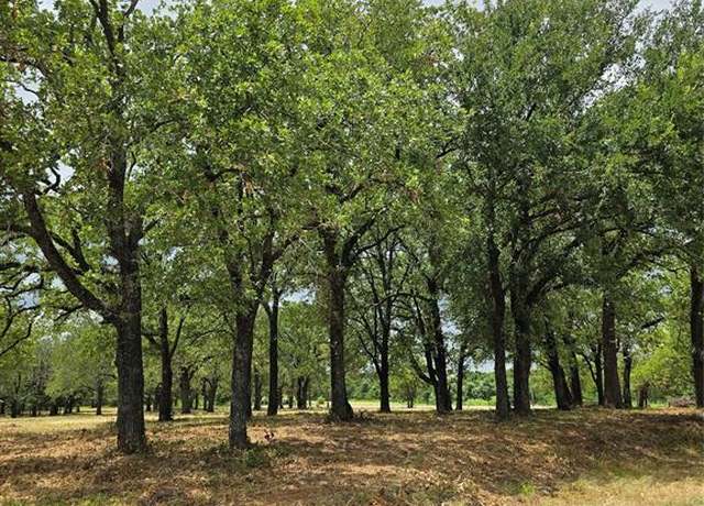 Property at 1895 Sunflower Rd Lot 2, Bridgeport, TX 76073