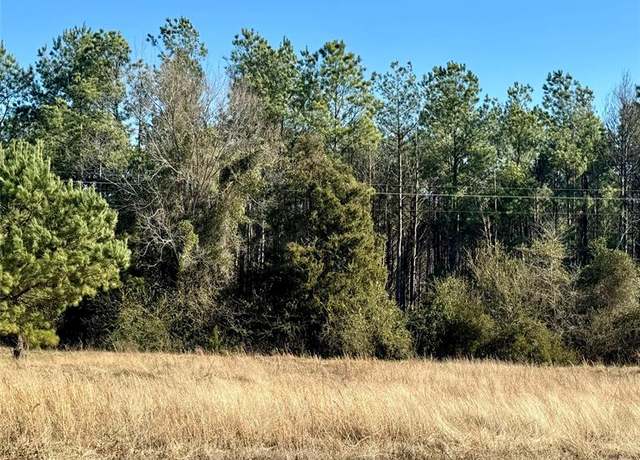 Property at Lot 29 Twin Springs Trl, Omaha, TX 75571