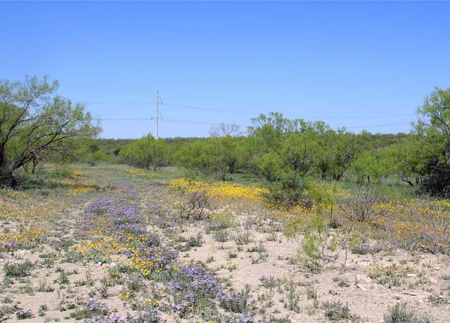 Property at 0 Fm 1929, Paint Rock, TX 76866