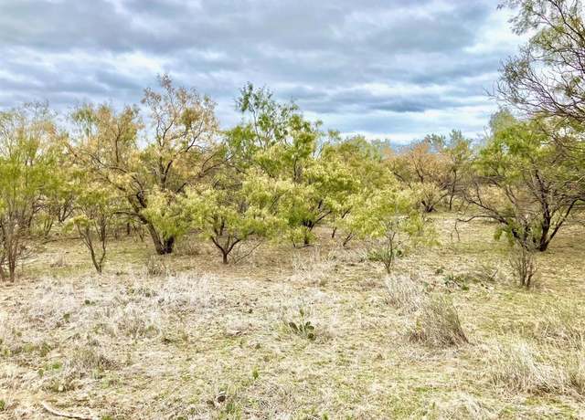 Property at TBD 100AC Hwy 6, Moran, TX 76464