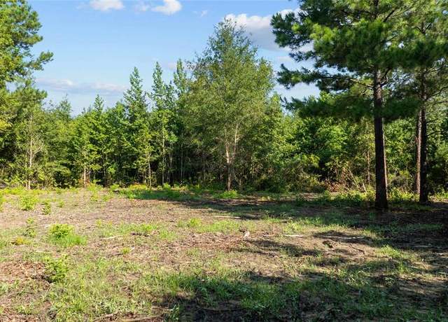 Property at 9443 Mistletoe Rd Lot 11, Gilmer, TX 75644