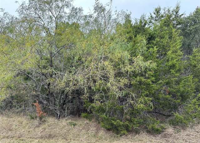 Property at 30044 Stonedale Dr, Whitney, TX 76692