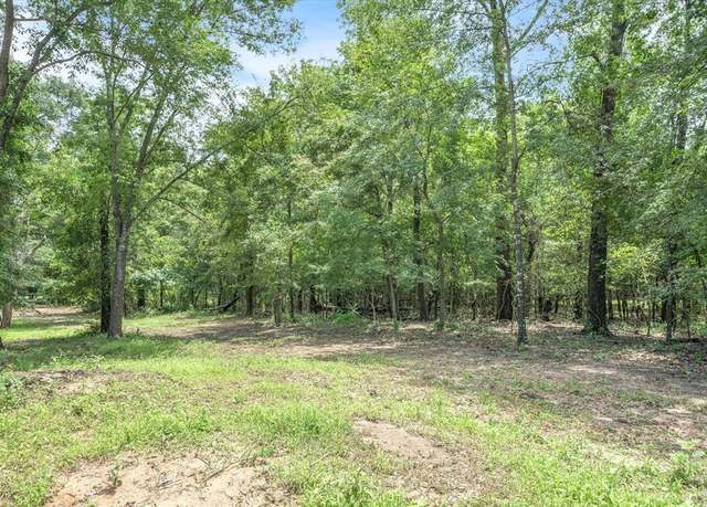 Property at TBD (16 Acres) VZ County Road 1804, Grand Saline, TX 75140