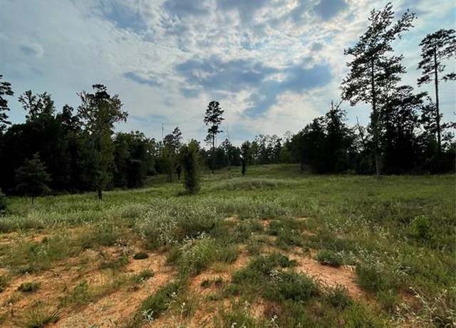 Property at 135 Fire Tower Rd, Plain Dealing, LA 71064