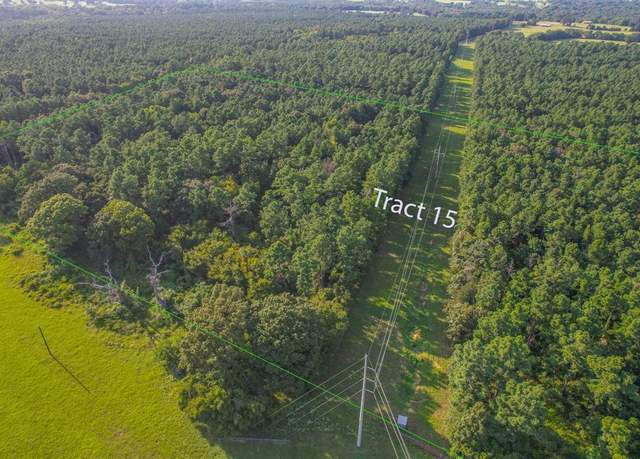Property at Tract 15 County Road 4224, Frankston, TX 75763