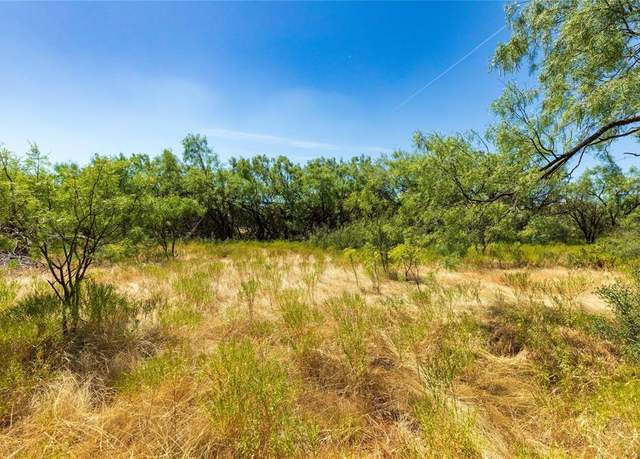 Property at 9831 Fm 1235, Abilene, TX 79606