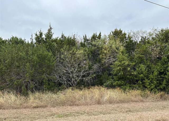 Property at 43100 Coneflower Dr, Whitney, TX 76692