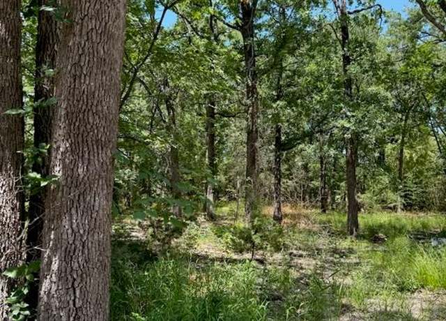 Property at 316 Sandy Lynn, West Tawakoni, TX 75474