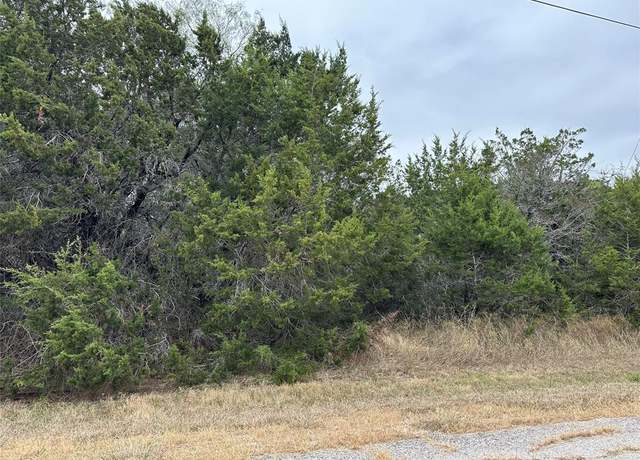 Property at 43164 Thistle Trl, Whitney, TX 76692