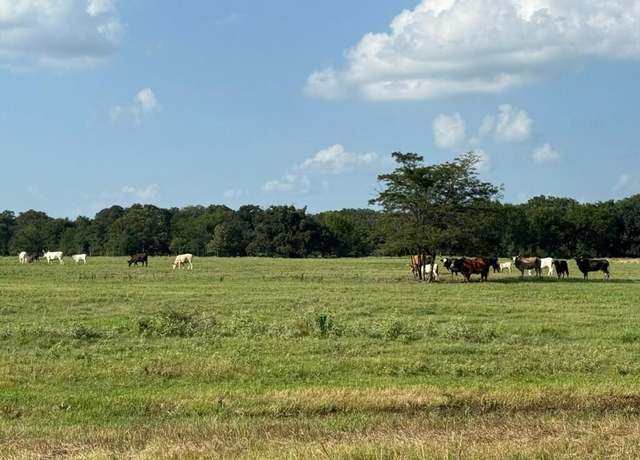 Property at TBD E Fm 2795, Alba, TX 75410