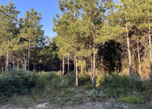 Property at TBD (Lot 55) County Road 1060, Center, TX 75935