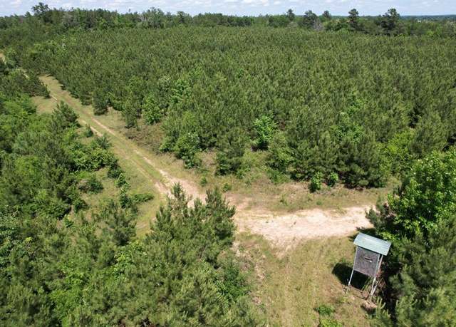Property at TBD County Road 3206, Mount Enterprise, TX 75681