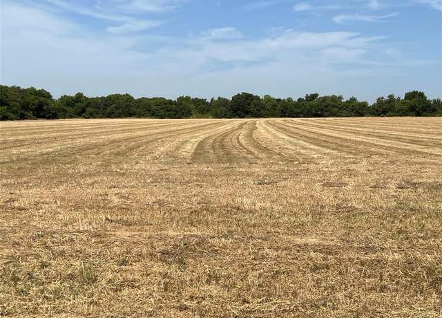 Property at Lot 5 Rodgers Rd, Sadler, TX 76264