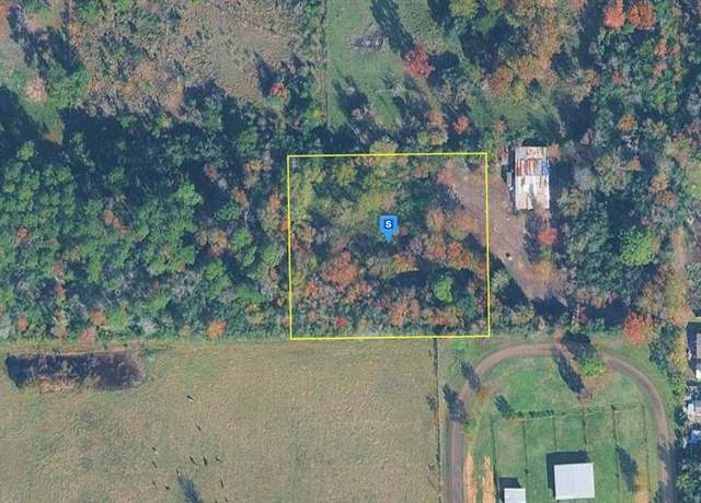Property at 13021 Cedar Grove Dr, No City, TX 77532