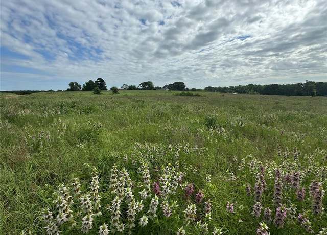 Property at 1130 VZ County Road 4106, Canton, TX 75103