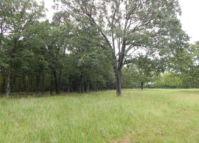 Property at 14 & 46 Lakeside Ests, Bagwell, TX 75412