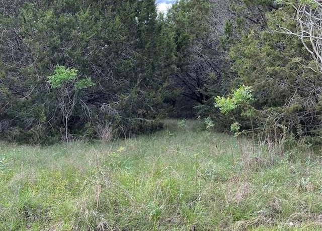 Property at 43208 Fringewood Dr, Whitney, TX 76692