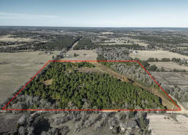 Property at TBD County Road 1890, Grapeland, TX 75844