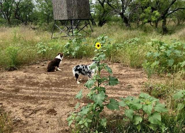 Property at 1050 County Road 258, Santa Anna, TX 76878