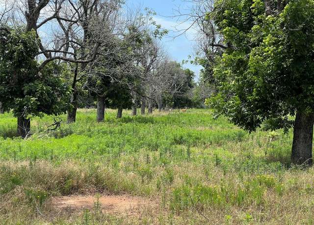 Property at 1336 Cirrus Loop, Granbury, TX 76049