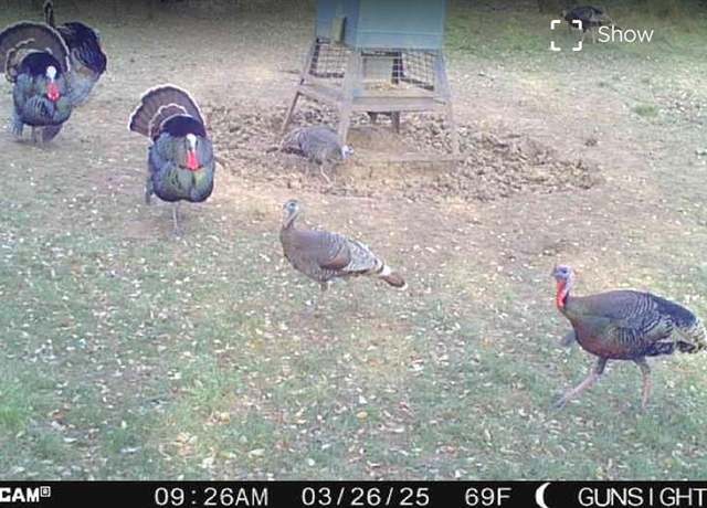 Property at TBD County Road 154, Breckenridge, TX 76424