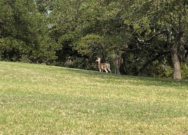 Property at 15039 Golf Dr, Whitney, TX 76692