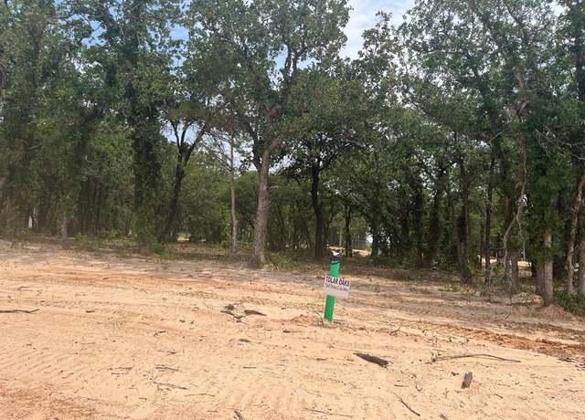 Property at 464 Peace Lily Way, Tolar, TX 76476