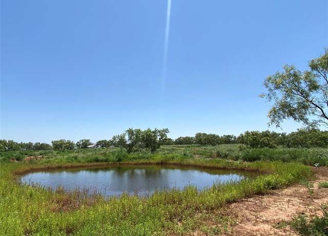 Property at 8445 County Road 226, Avoca, TX 79503
