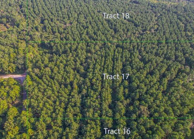Property at Tract 17 County Road 4224, Frankston, TX 75763