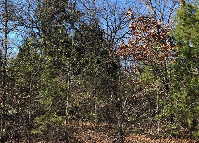Property at 170 Kanawka Rd, Mabank, TX 75156