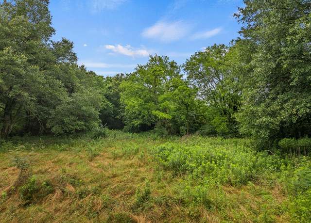 Property at 436 Grady, Mount Vernon, TX 75457