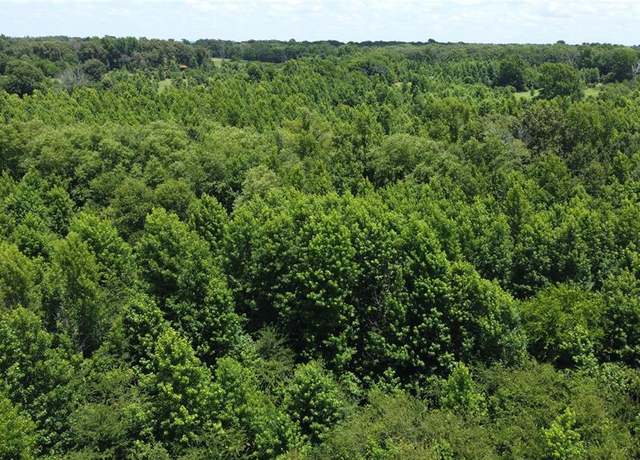 Property at 401 County Road 2920, Golden, TX 75444