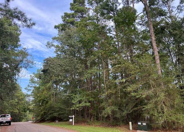 Property at 91 Twinstone Cir, Coldspring, TX 77331