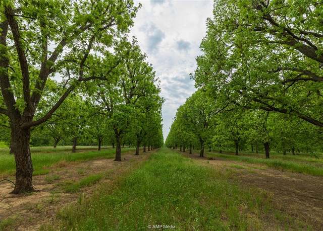 Property at 141 Pecan Bayou Ln, Brownwood, TX 76801